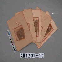 藏品(大花壽金)的圖片